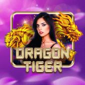 Dragon Tiger BMW33 free play sample